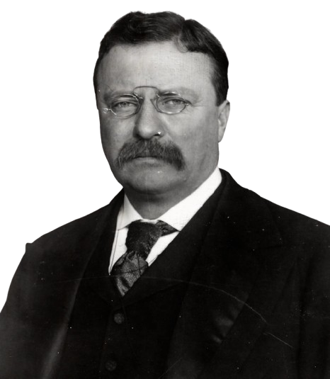 Theodore Roosevelt 2